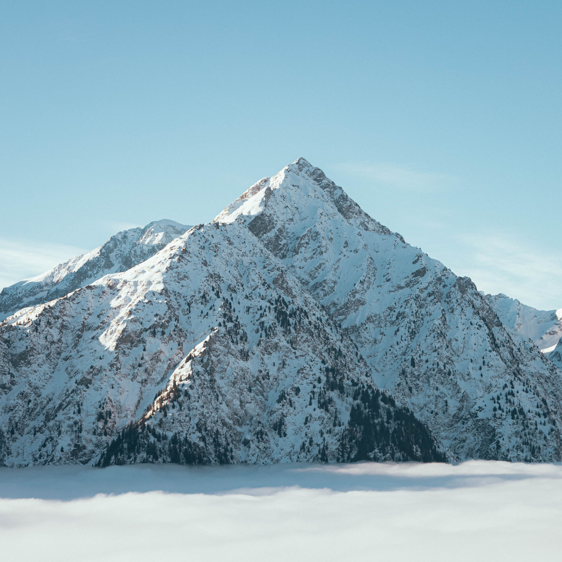 Snow-covered peak rising above a sea of clouds